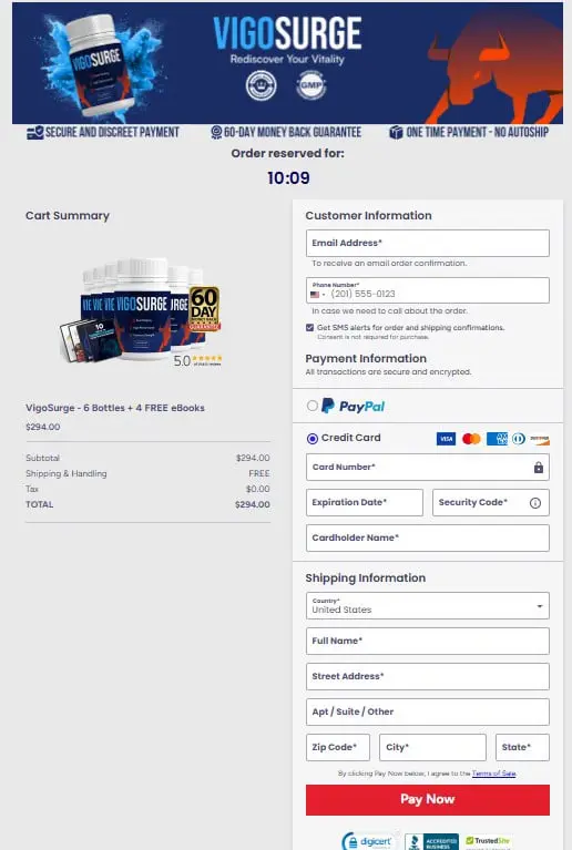 VigoSurge Checkout